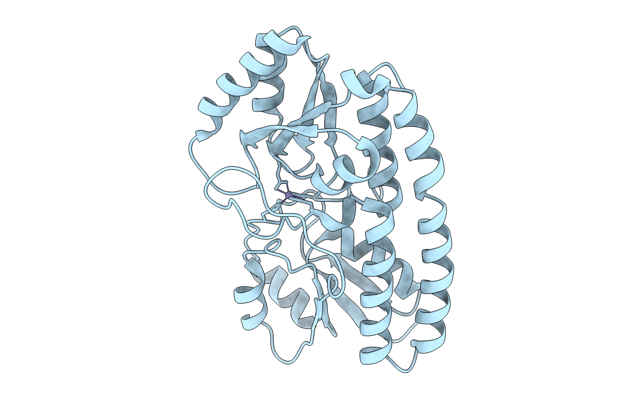 6Q1D image