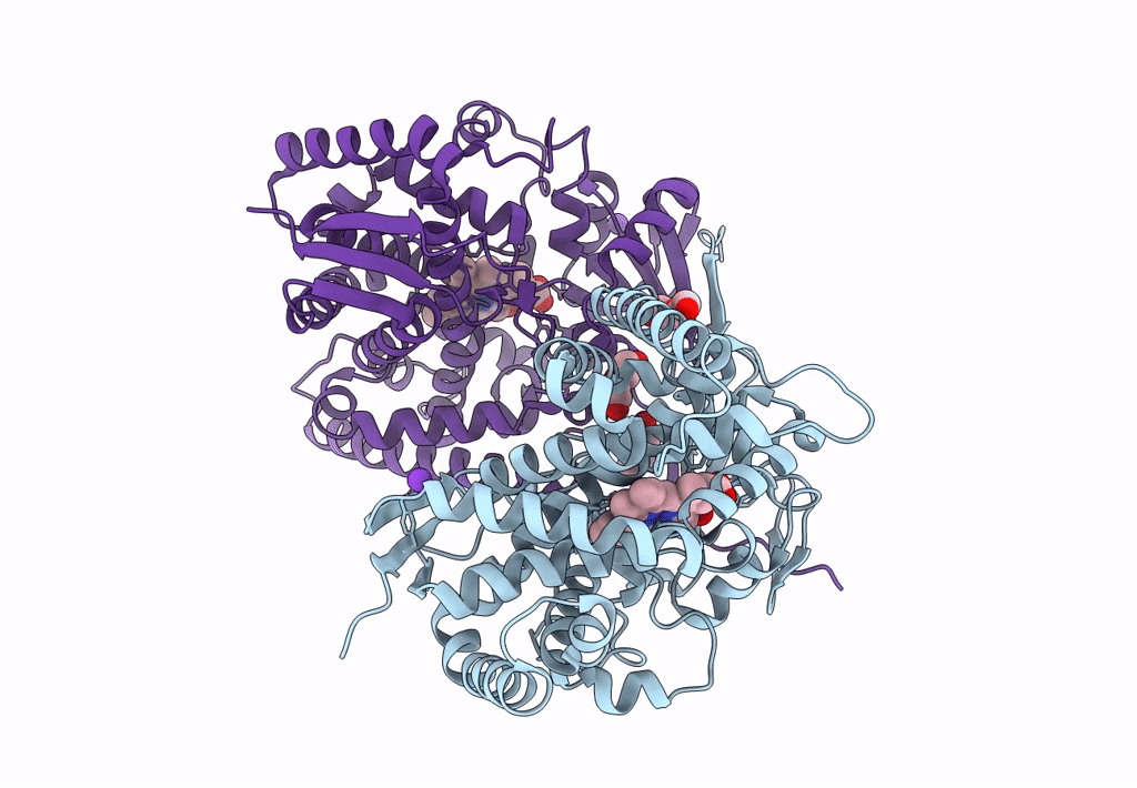 6Q2C image