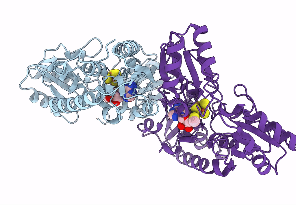 6Q2E image