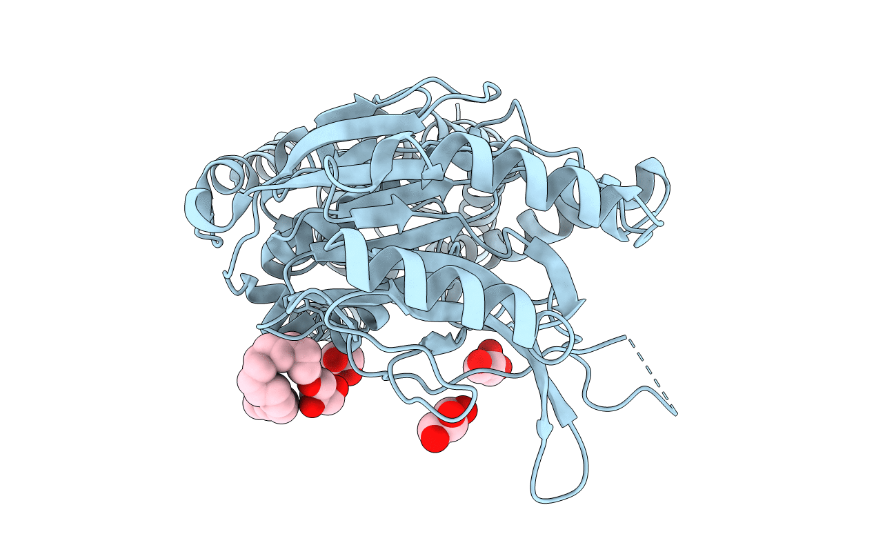 6Q3A image