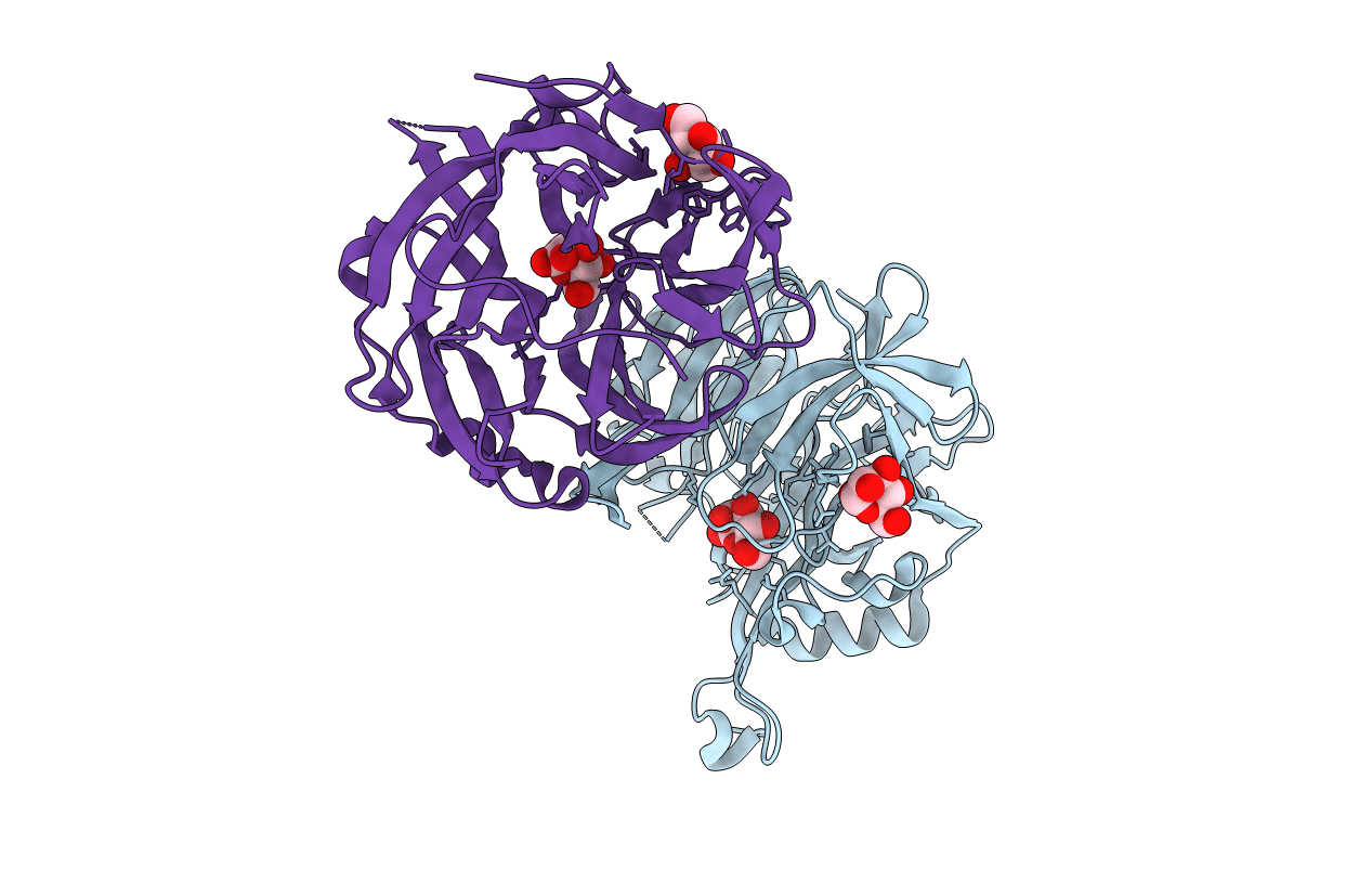 6Q4Y image