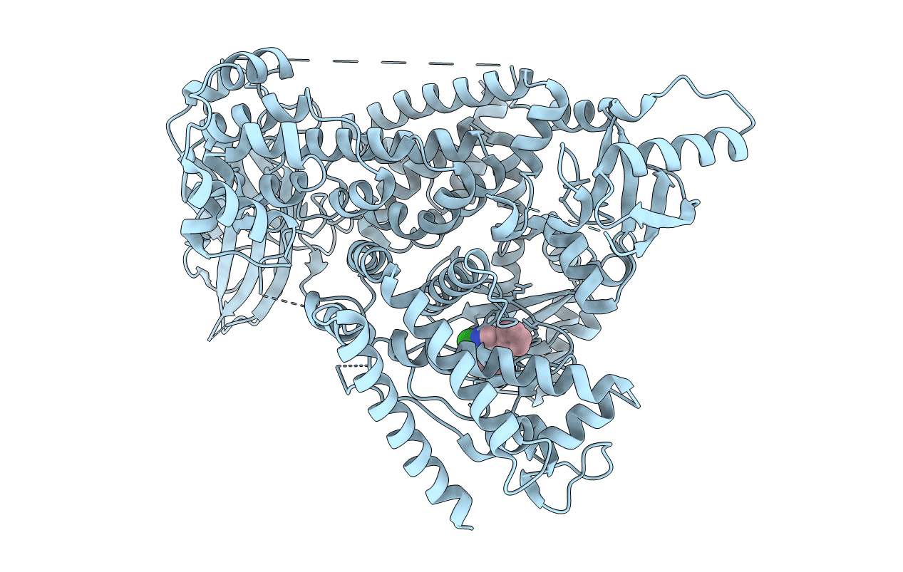 6Q6Y image