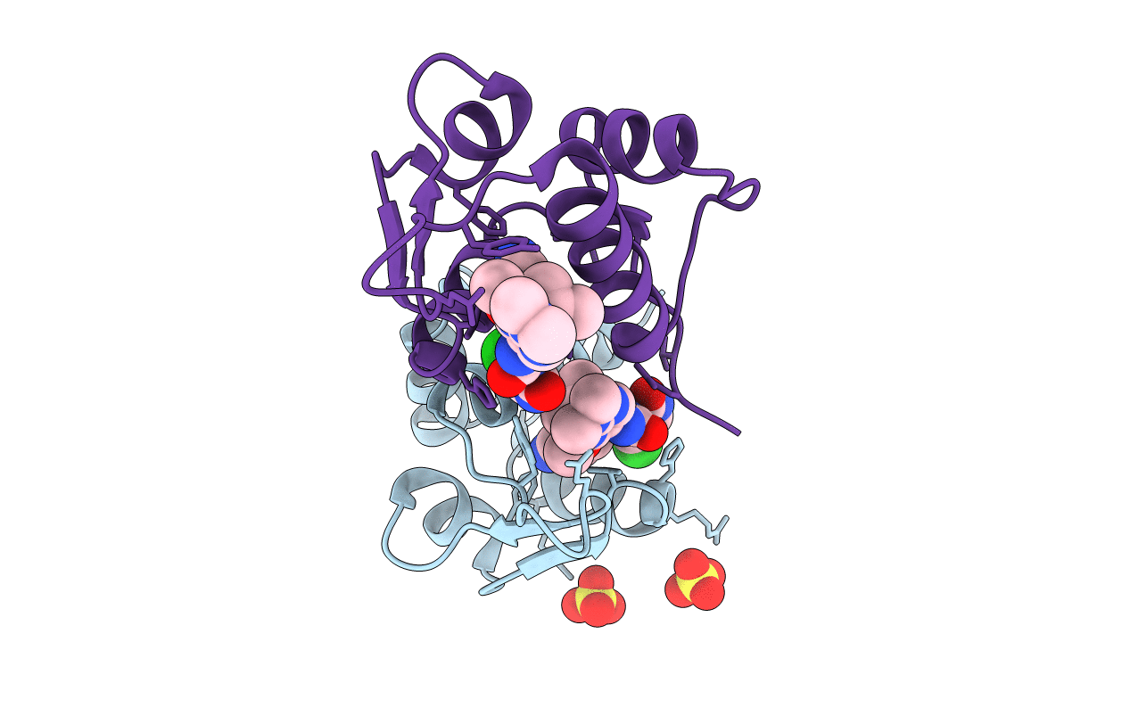6Q96 image