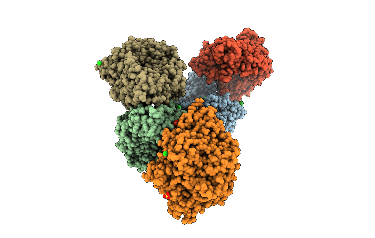6QGB image