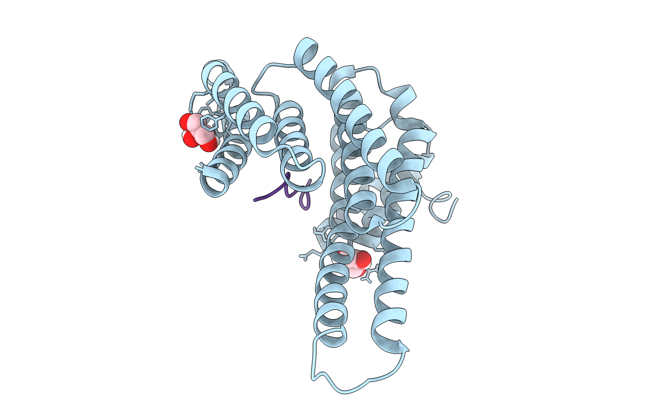 6QHL image