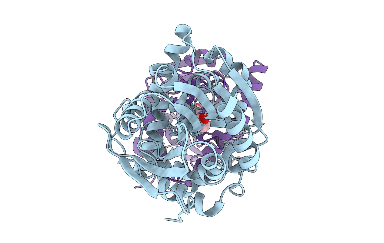 6QHP image