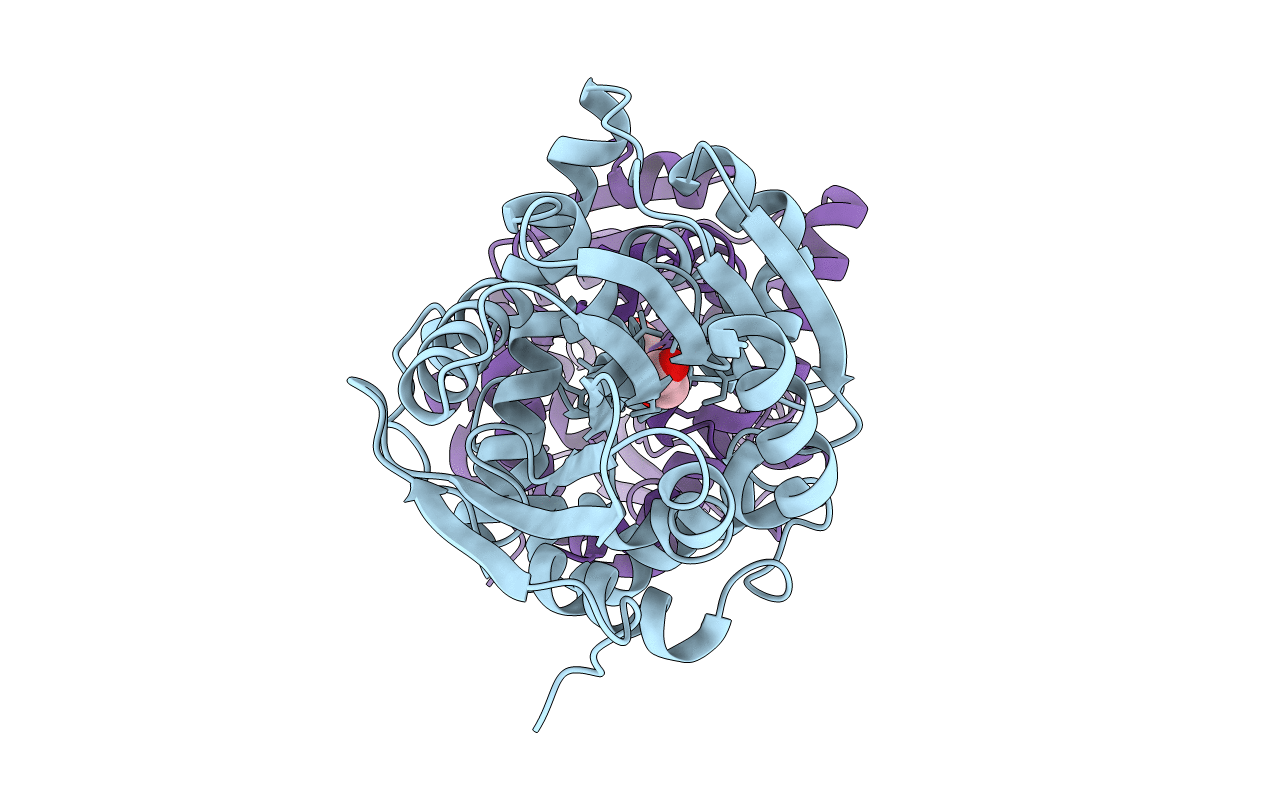 6QHW image
