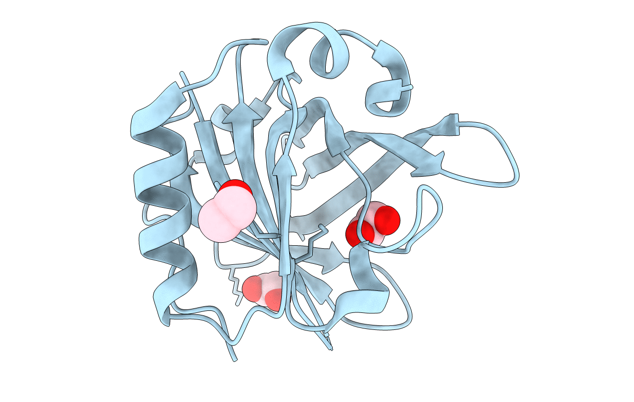 6QI6 image