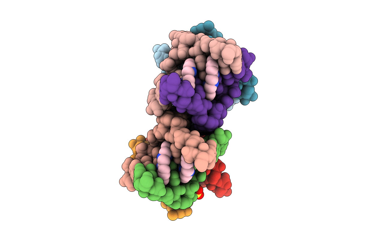 6QIS image