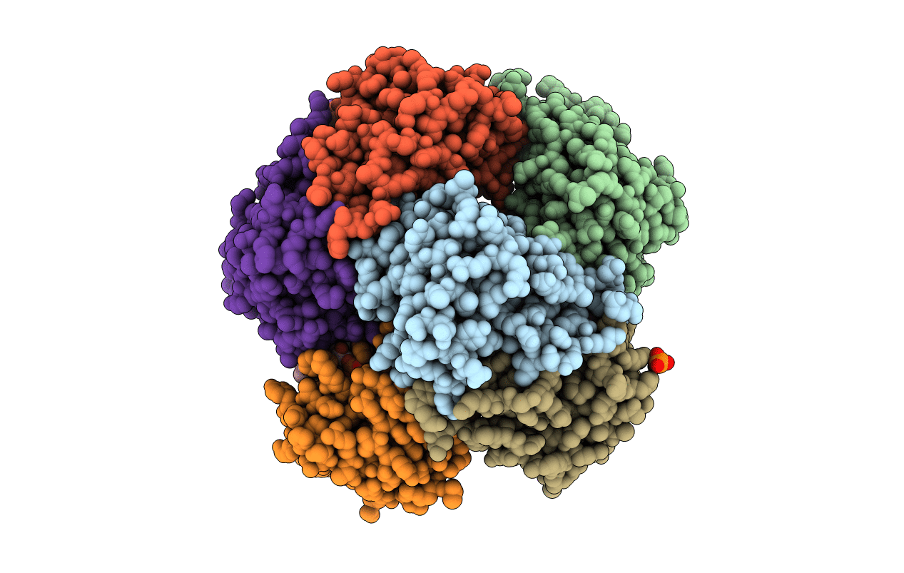 6QLG image