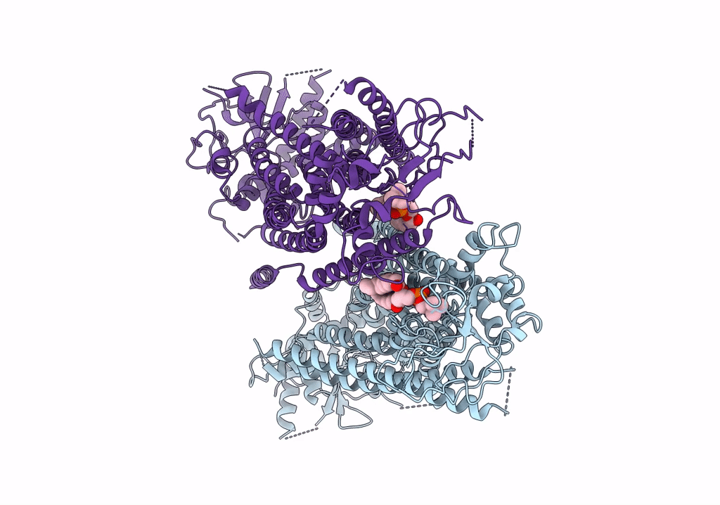 6QPB image