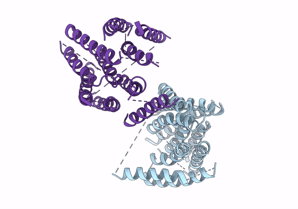 6QPI image