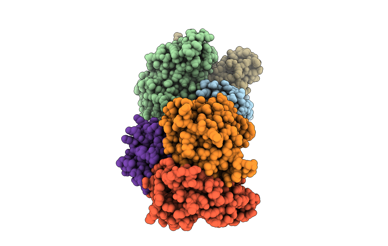 6QPM image