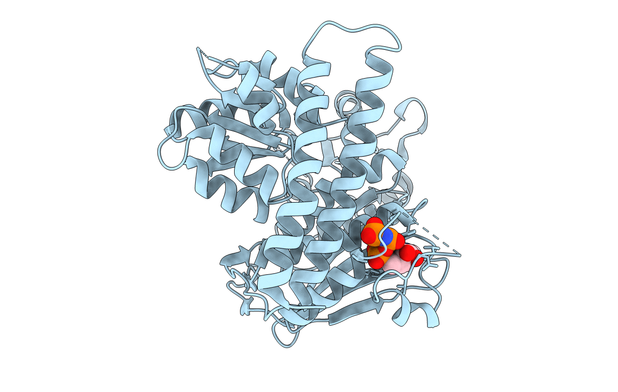 6QRJ image