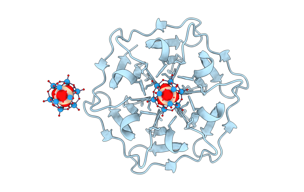 6QSG image