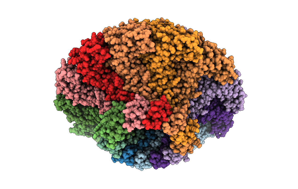 6QX5 image
