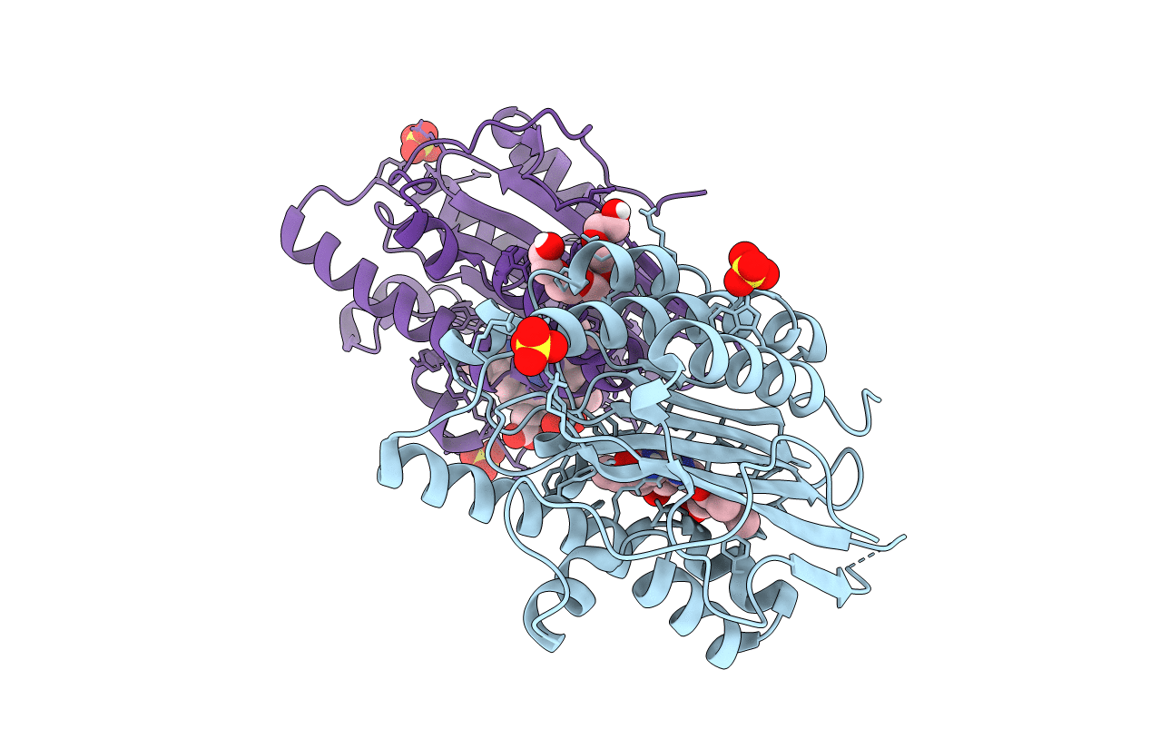 6QX6 image