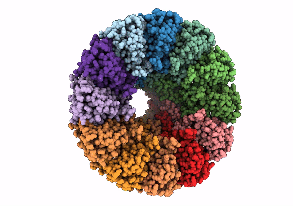 6QX7 image