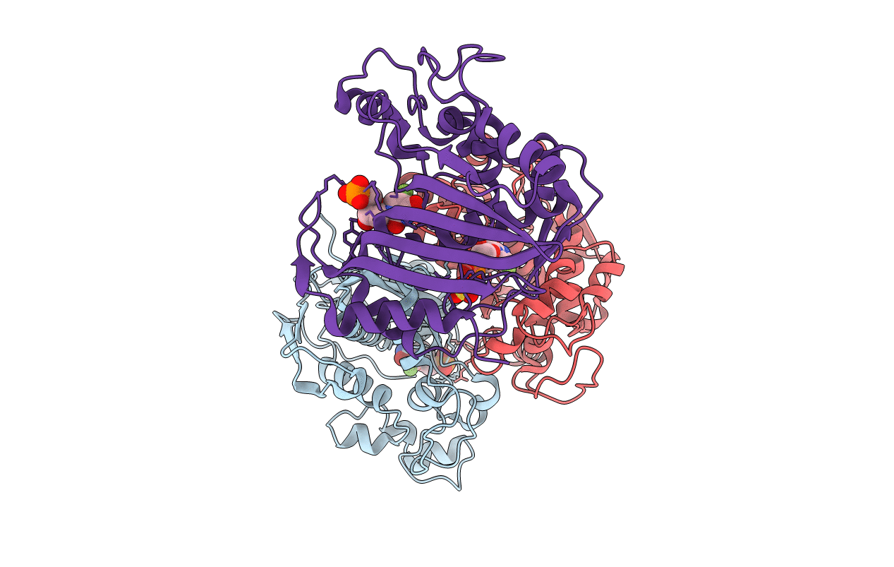 6QXG image