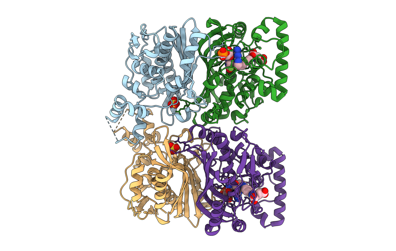 6QXS image