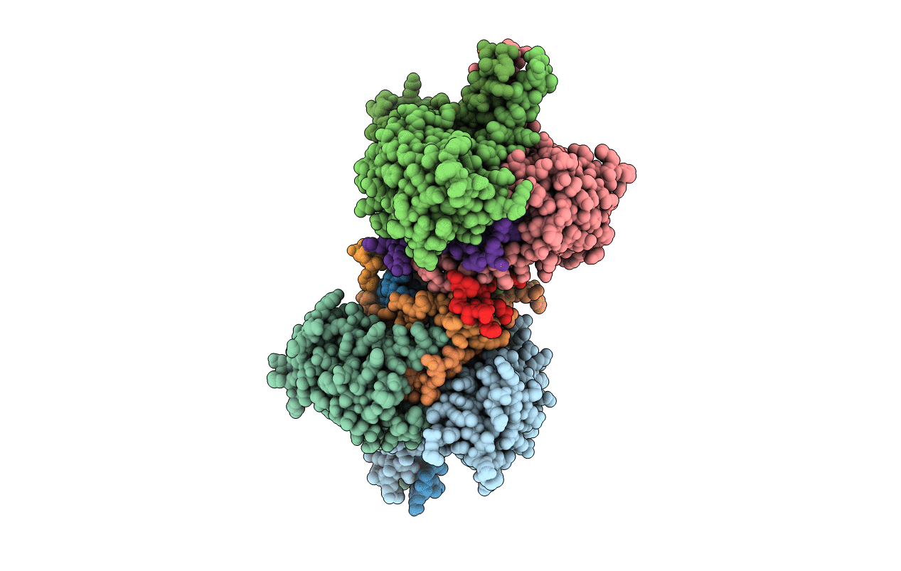 6R16 image