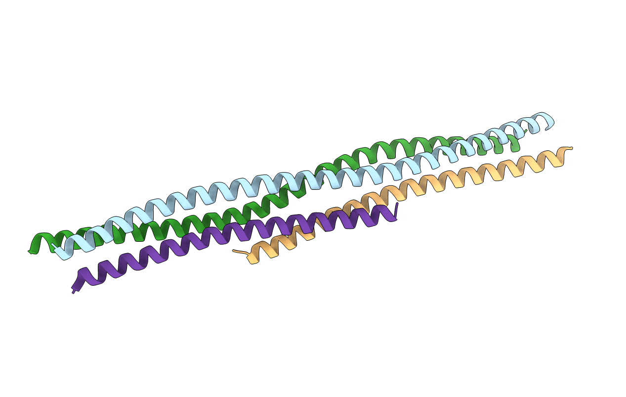 6R17 image