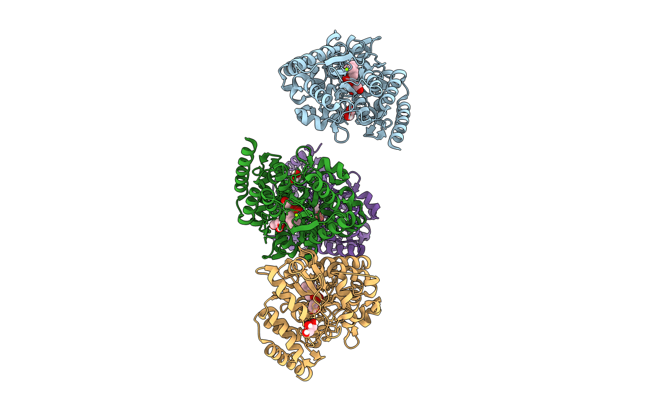 6R1B image