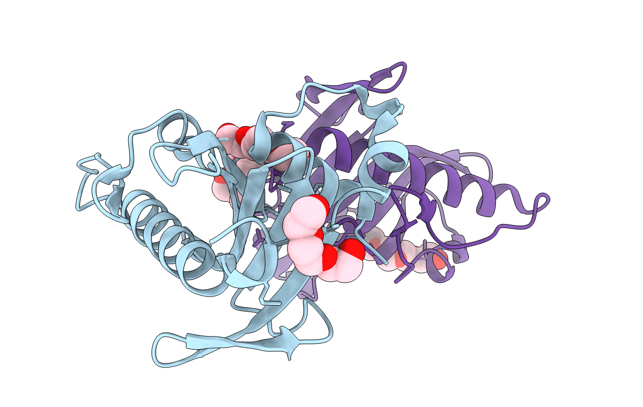 6R1G image