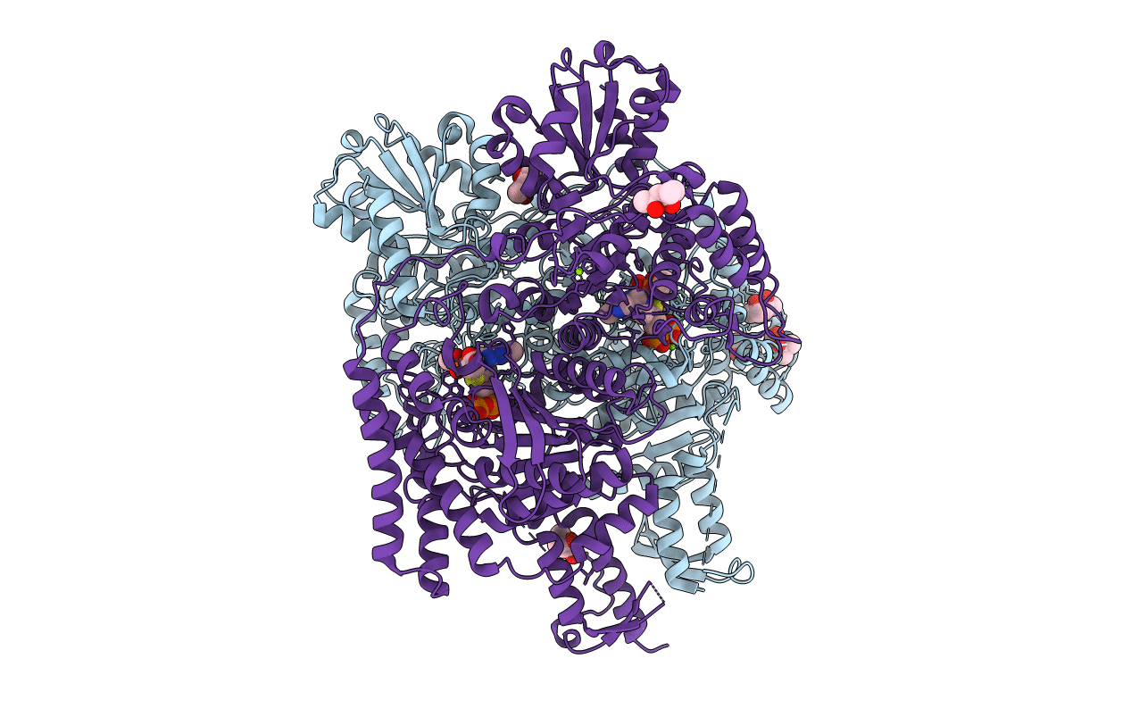 6R2A image