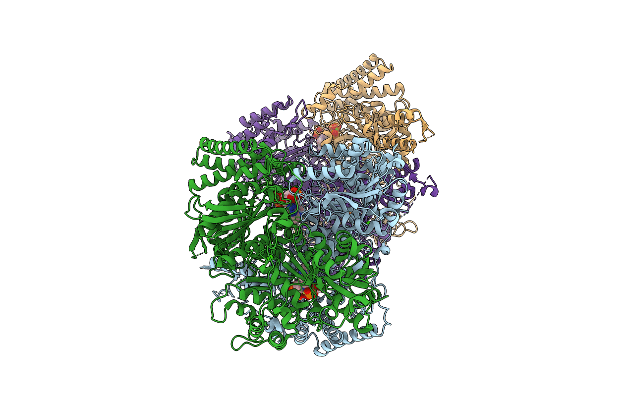 6R2B image