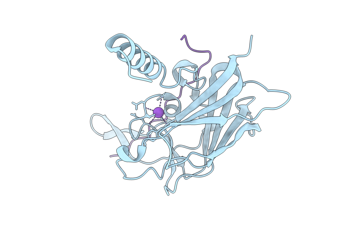 6R2I image