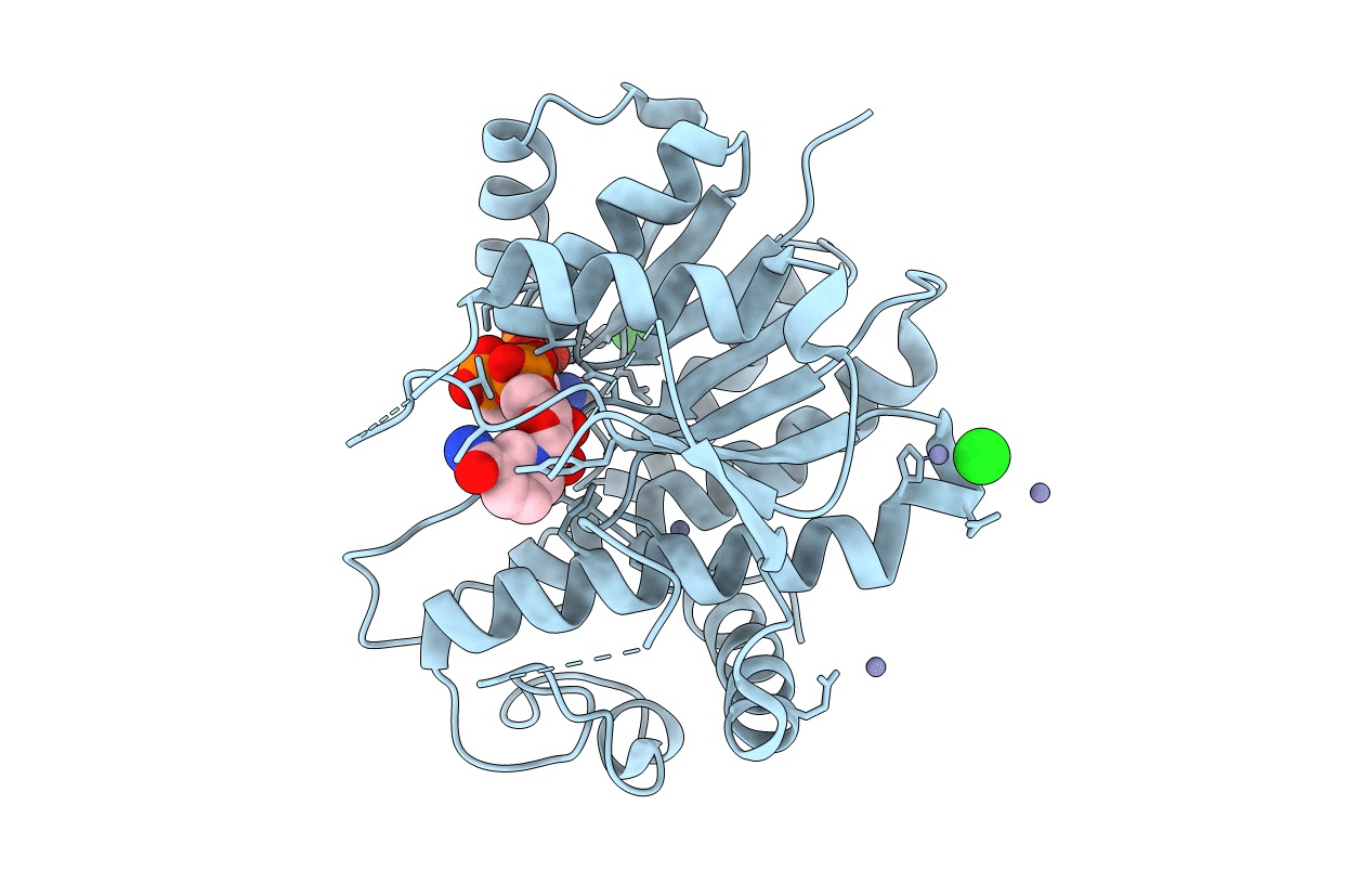 6R46 image