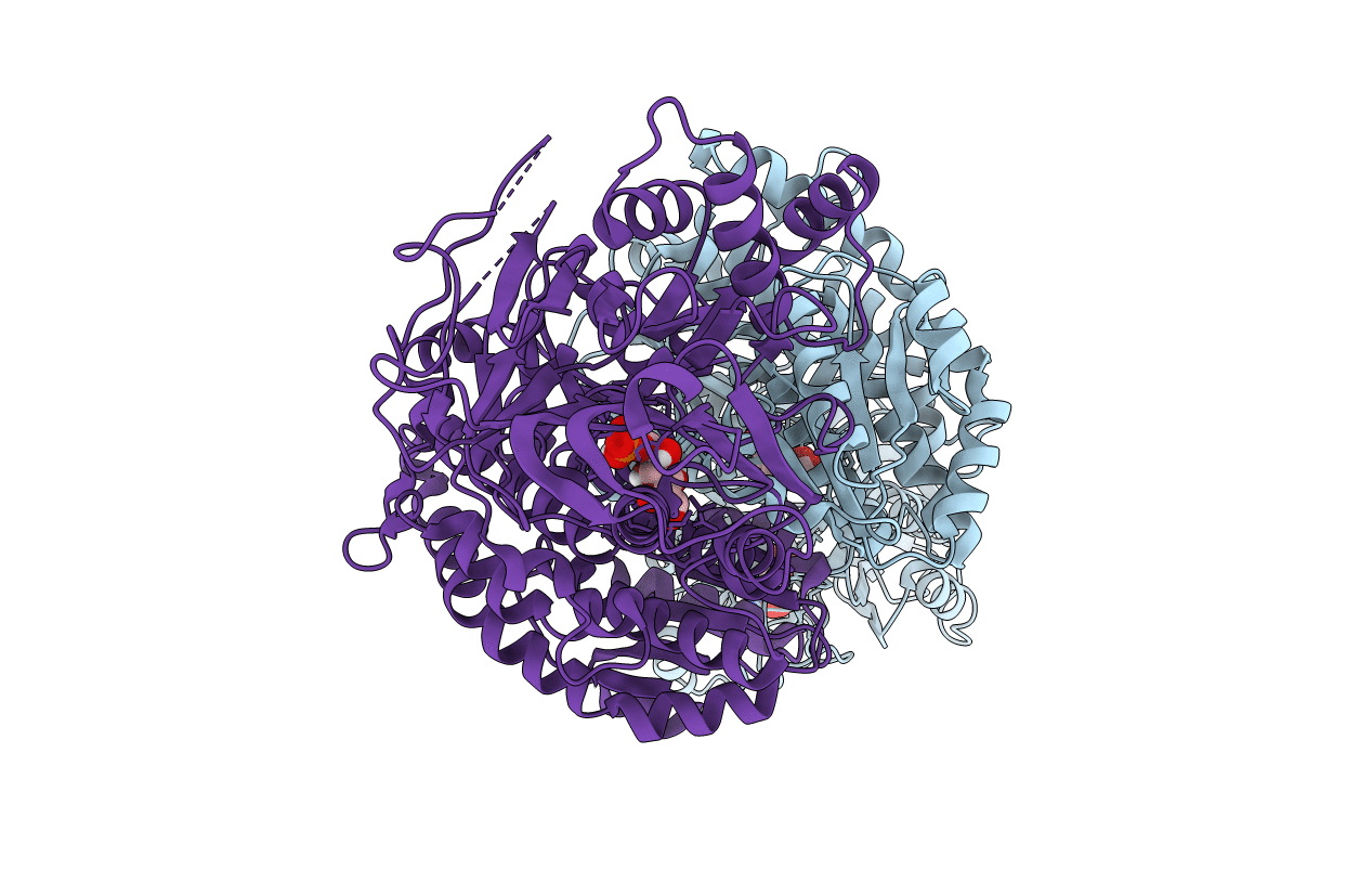 6R4H image