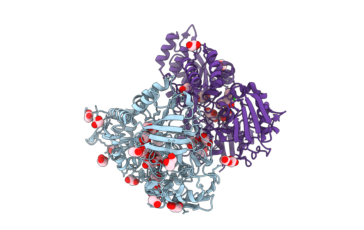 6R4Q image