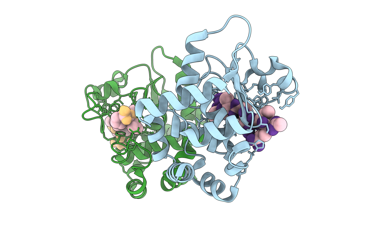 6R4X image