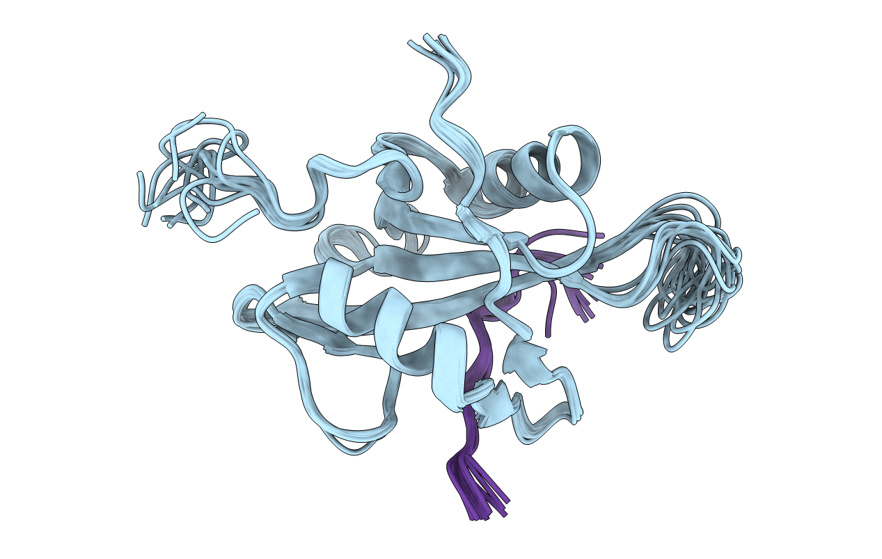 6R5G image