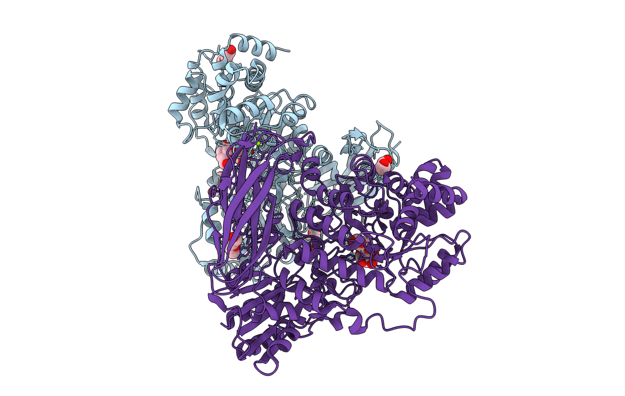 6R5T image