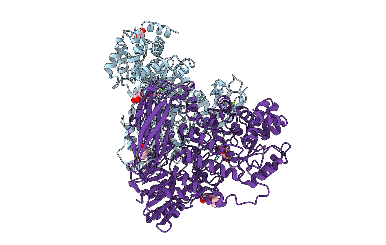 6R5V image