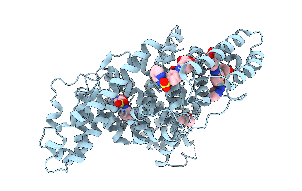 6R7S image