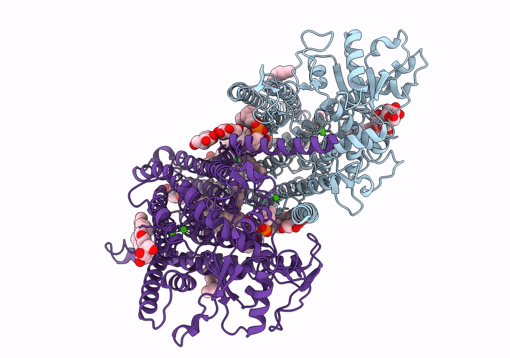 6R7X image
