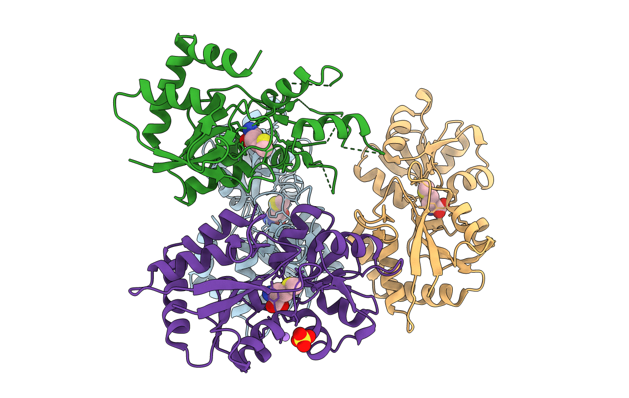 6R8A image