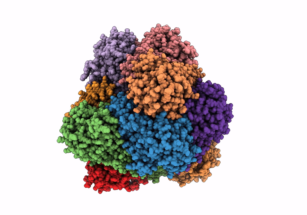6R8N image