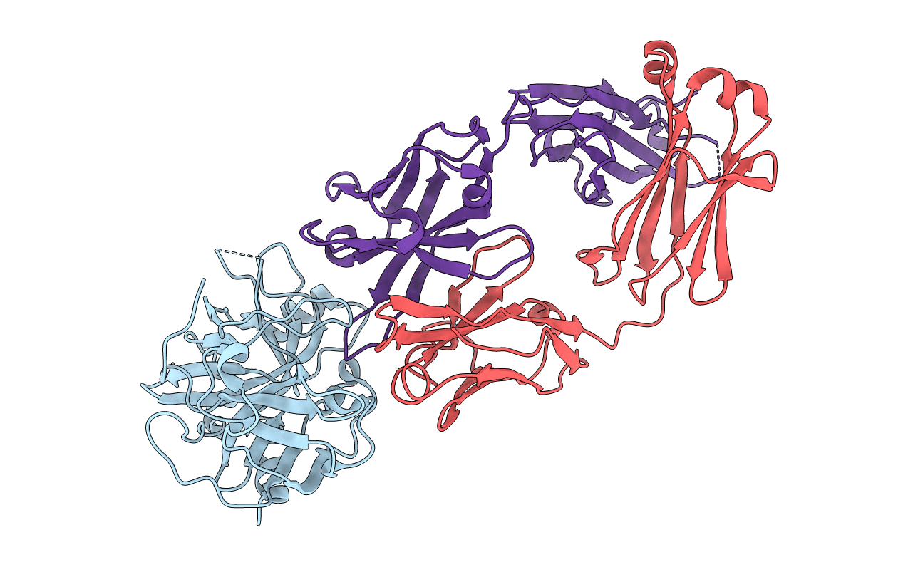 6R8X image