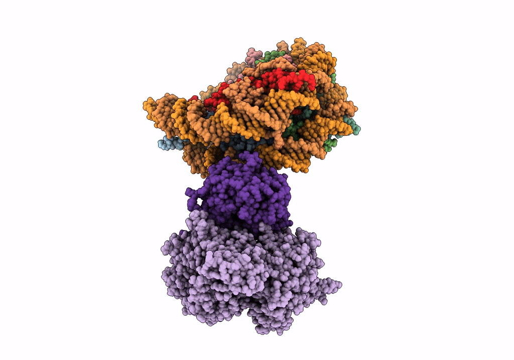 6R91 image