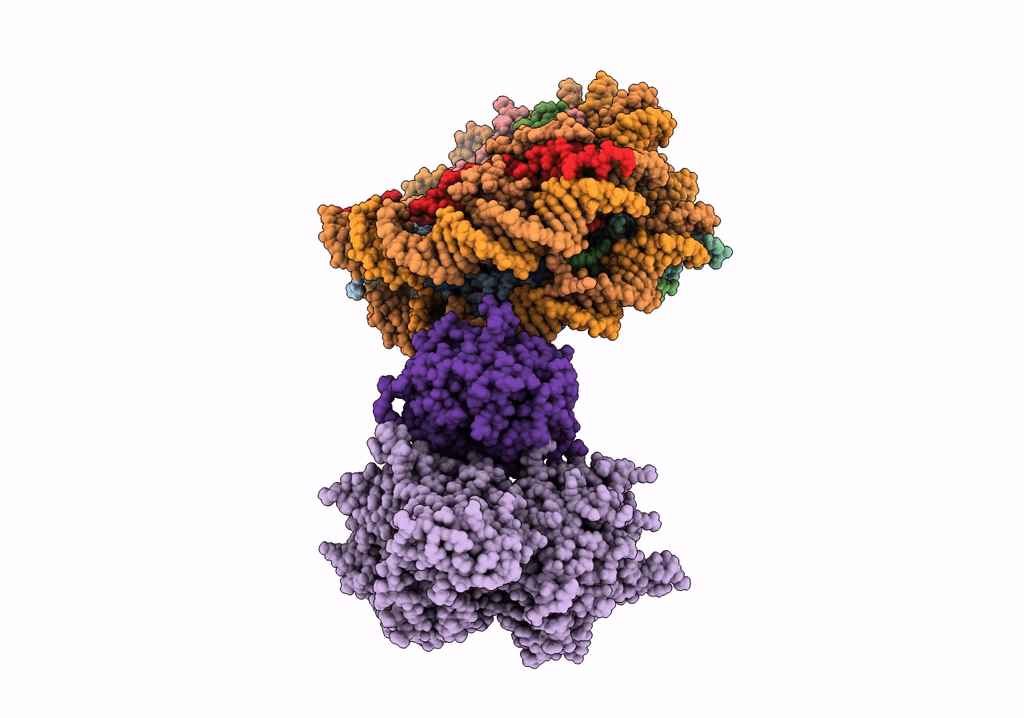 6R92 image