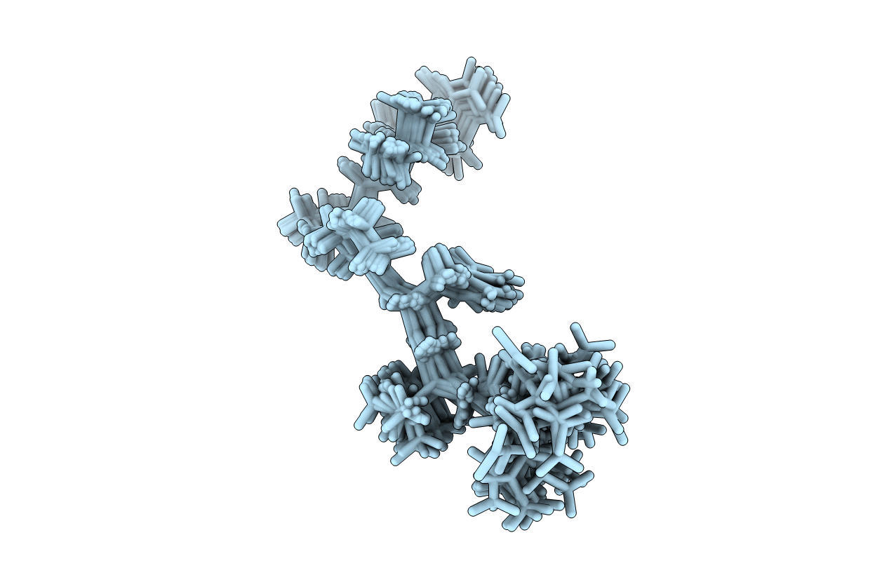 6R9Z image
