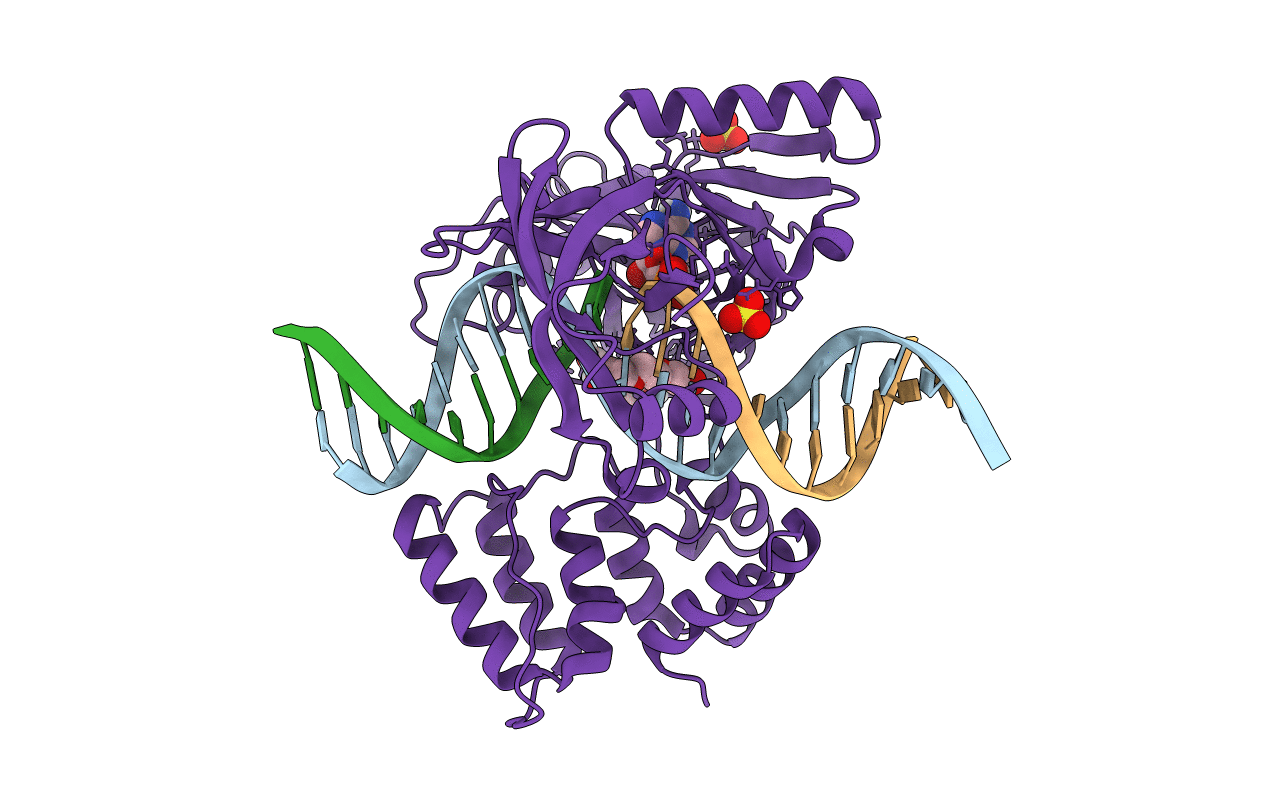 6RAS image