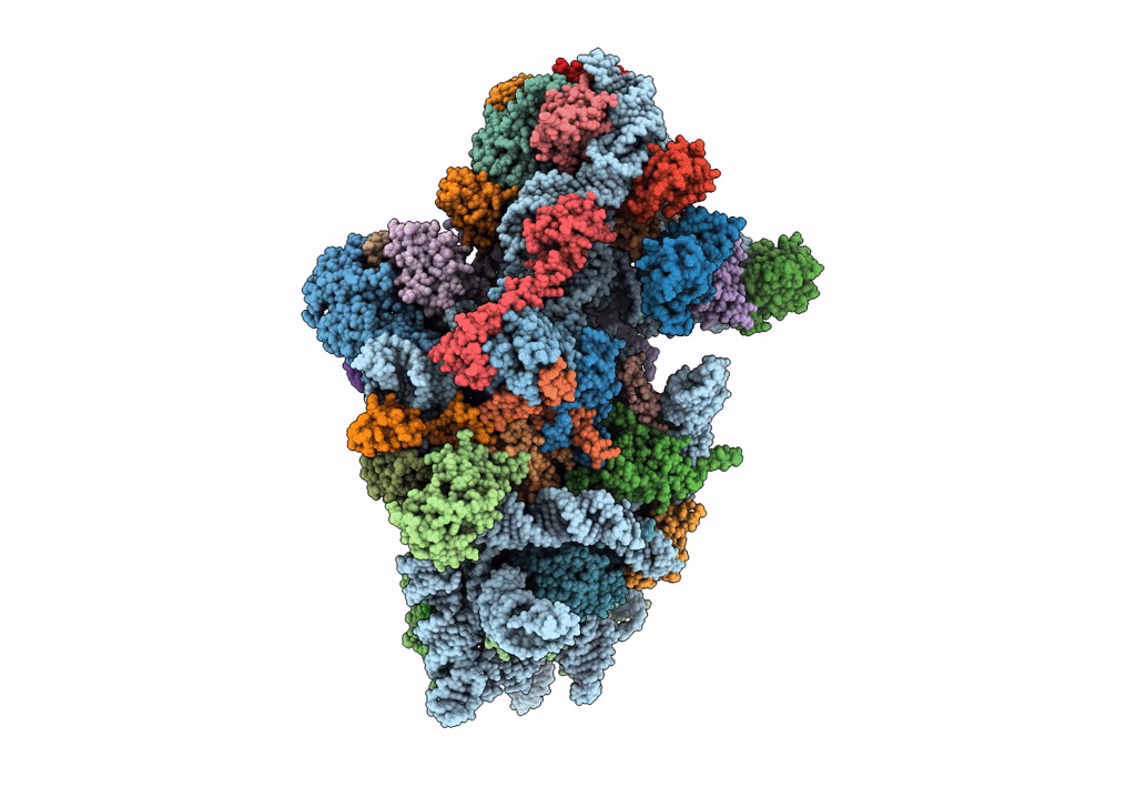 6RBD image