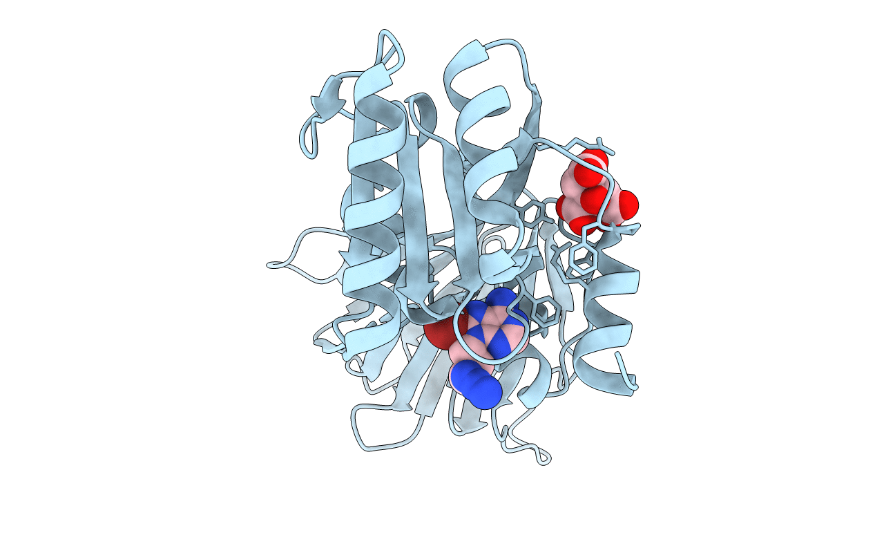 6RBV image