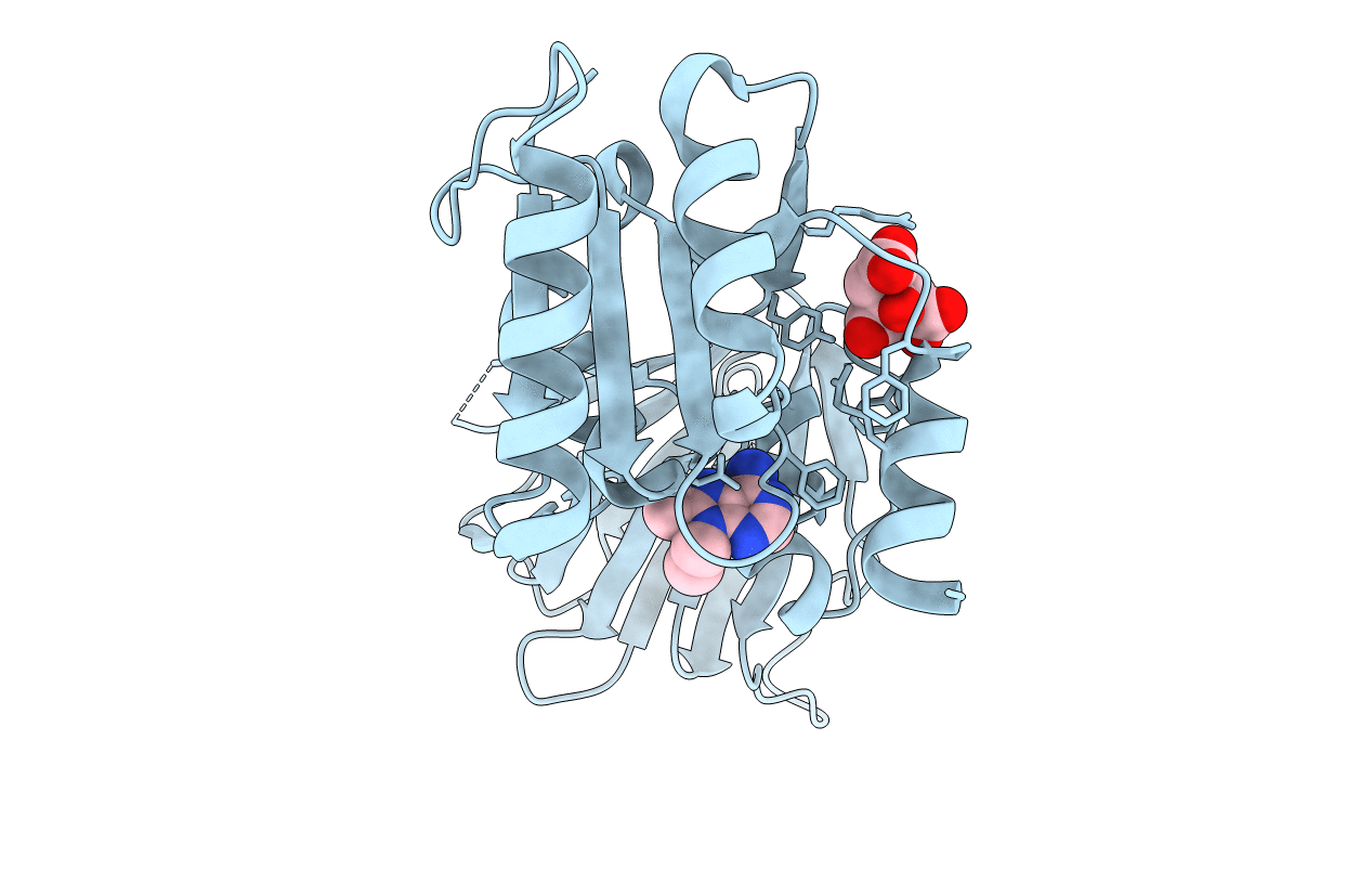 6RC1 image